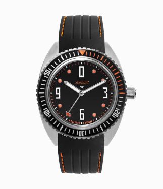 Amphibia Stainless Steel Wrist Watch